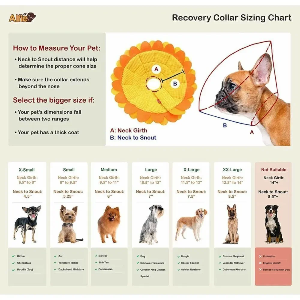 Alfie Pet - Noel Recovery Collar (for Dogs and Cats) - Pattern Sunflower, Size S